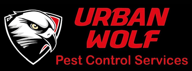 Pest Control Services Suffolk, Norfolk and Surrounding Areas